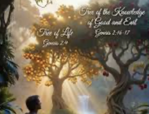 Are we eating off of the wrong tree?